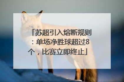 苏超引入熔断规则：单场净胜球超过8个，比赛立即终止