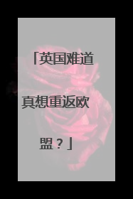 英国难道真想重返欧盟？