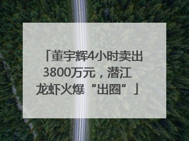 董宇辉4小时卖出3800万元，潜江龙虾火爆“出圈”