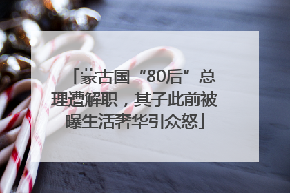 蒙古国“80后”总理遭解职，其子此前被曝生活奢华引众怒