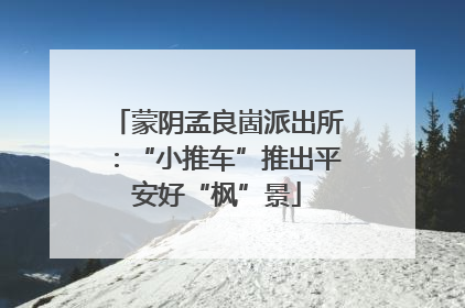 蒙阴孟良崮派出所：“小推车”推出平安好“枫”景
