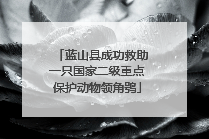 蓝山县成功救助一只国家二级重点保护动物领角鸮