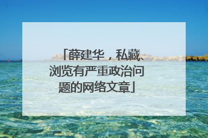薛建华，私藏、浏览有严重政治问题的网络文章