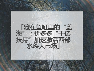 藏在鱼缸里的“蓝海”：拼多多“千亿扶持”加速激活西部水族大市场