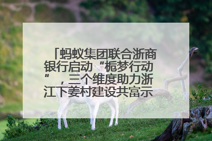 蚂蚁集团联合浙商银行启动“栀梦行动”，三个维度助力浙江下姜村建设共富示范区示范点