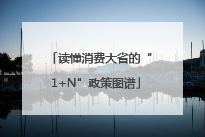 读懂消费大省的“1+N”政策图谱