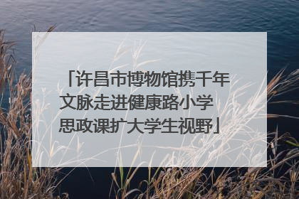 许昌市博物馆携千年文脉走进健康路小学 思政课扩大学生视野