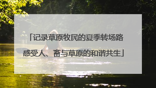 记录草原牧民的夏季转场路 感受人、畜与草原的和谐共生