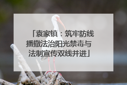 袁家镇：筑牢防线播撒法治阳光禁毒与法制宣传双线并进