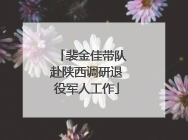 裴金佳带队赴陕西调研退役军人工作