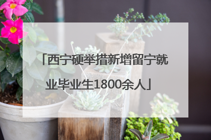 西宁硬举措新增留宁就业毕业生1800余人