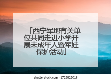 西宁军地有关单位共同走进小学开展未成年人暨军娃保护活动