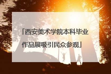 西安美术学院本科毕业作品展吸引民众参观