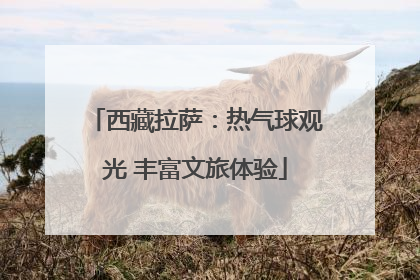 西藏拉萨：热气球观光 丰富文旅体验