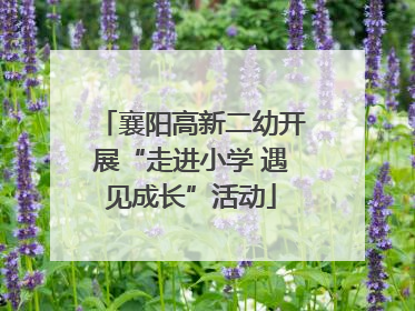 襄阳高新二幼开展“走进小学 遇见成长”活动