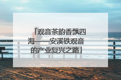观音茶韵香飘四海——安溪铁观音的产业复兴之路