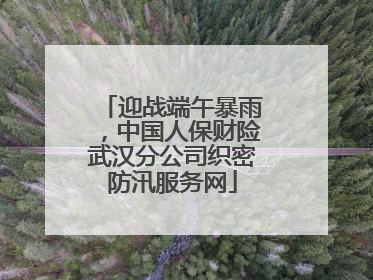 迎战端午暴雨，中国人保财险武汉分公司织密防汛服务网