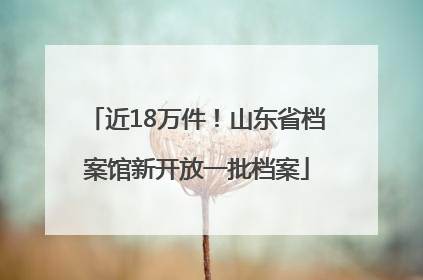 近18万件！山东省档案馆新开放一批档案
