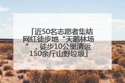 近50名志愿者集结网红徒步地“天鹅林场”，徒步10公里清运150余斤山野垃圾