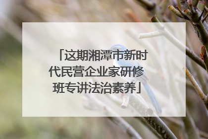 这期湘潭市新时代民营企业家研修班专讲法治素养