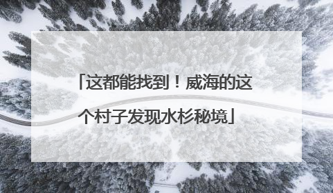 这都能找到！威海的这个村子发现水杉秘境