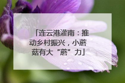 连云港灌南：推动乡村振兴，小蘑菇有大“蘑”力