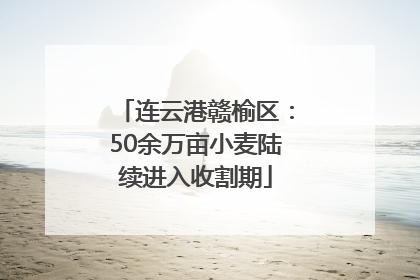 连云港赣榆区：50余万亩小麦陆续进入收割期