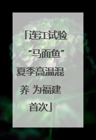 连江试验“马面鱼”夏季高温混养 为福建首次