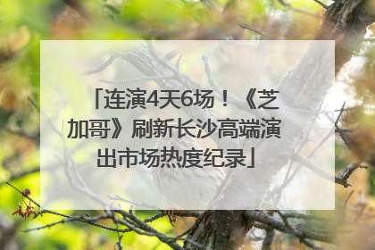 连演4天6场！《芝加哥》刷新长沙高端演出市场热度纪录