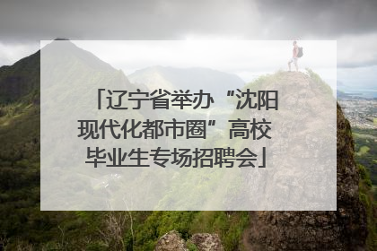 辽宁省举办“沈阳现代化都市圈”高校毕业生专场招聘会