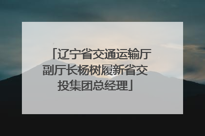 辽宁省交通运输厅副厅长杨树履新省交投集团总经理