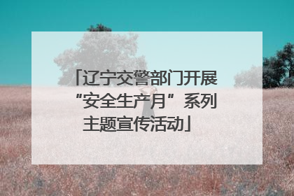 辽宁交警部门开展“安全生产月”系列主题宣传活动