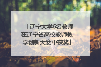辽宁大学6名教师在辽宁省高校教师教学创新大赛中获奖