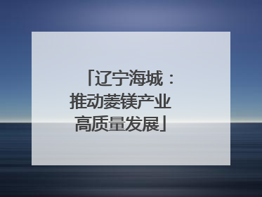 辽宁海城：推动菱镁产业高质量发展