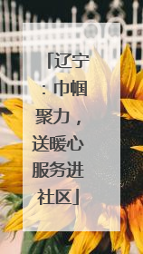 辽宁：巾帼聚力，送暖心服务进社区