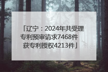 辽宁：2024年共受理专利预审请求7468件 获专利授权4213件