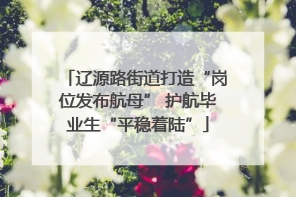 辽源路街道打造“岗位发布航母” 护航毕业生“平稳着陆”