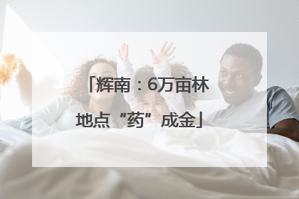 辉南：6万亩林地点“药”成金