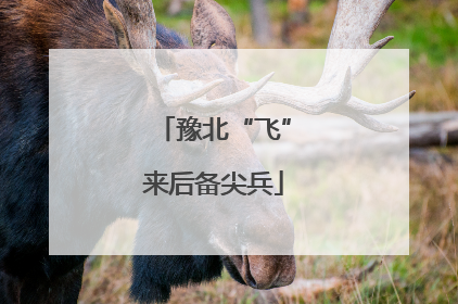豫北“飞”来后备尖兵