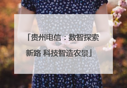 贵州电信：数智探索新路 科技智造农景