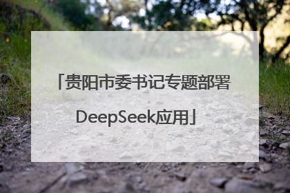 贵阳市委书记专题部署DeepSeek应用