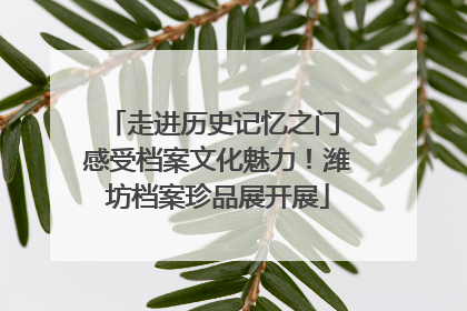 走进历史记忆之门 感受档案文化魅力！潍坊档案珍品展开展