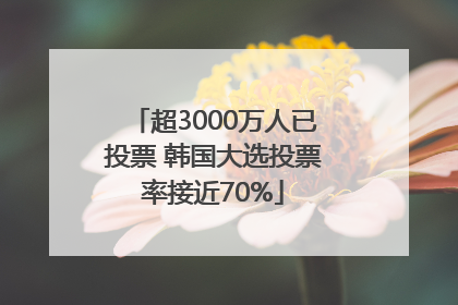 超3000万人已投票 韩国大选投票率接近70%