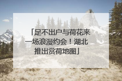 足不出户与荷花来一场浪漫约会！湖北推出赏荷地图