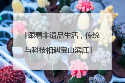 跟着非遗品生活，传统与科技相遇宝山滨江