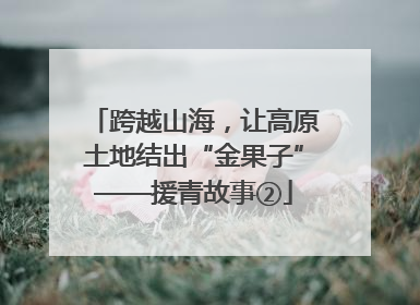 跨越山海，让高原土地结出“金果子”——援青故事②