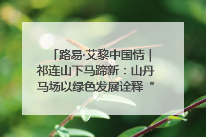 路易·艾黎中国情｜祁连山下马蹄新：山丹马场以绿色发展诠释“两山”理论实践