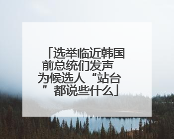 选举临近韩国前总统们发声 为候选人“站台”都说些什么