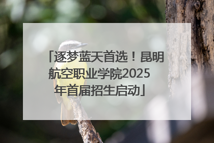 逐梦蓝天首选！昆明航空职业学院2025年首届招生启动