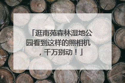 逛南苑森林湿地公园看到这样的照相机，千万别动！